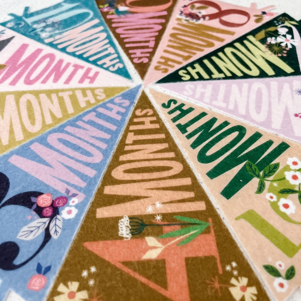Anthropologie Baby Milestone Pennants